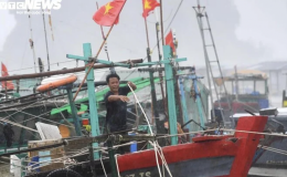 4 người chết, 78 người bị thương do bão Yagi