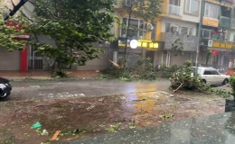 Bão số 3: Đã có 4 người chết, 78 người bị thương