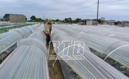 Chủ động ứng phó với mưa úng