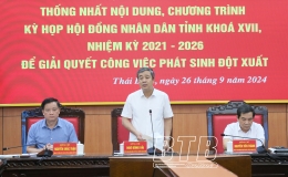 Chuẩn bị chu đáo cho kỳ họp HĐND tỉnh để giải quyết công việc phát sinh đột xuất