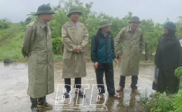 Công tác ứng phó với lũ dâng cao tại huyện Vũ Thư