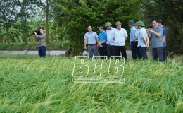 Đồng chí Bí thư Tỉnh ủy kiểm tra, chỉ đạo công tác khắc phục thiệt hại sau bão số 3