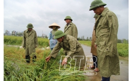 Đồng chí Phó Bí thư thường trực Tỉnh ủy, Chủ tịch HĐND tỉnh kiểm tra, chỉ đạo công tác khắc phục hậu quả bão số 3 tại Đông Hưng, Quỳnh Phụ, Hưng Hà
