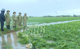 Đồng chí Trưởng ban Nội chính Tỉnh ủy kiểm tra, chỉ đạo công tác khắc phục thiệt hại sau bão số 3 tại Quỳnh Phụ