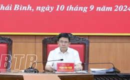 Góp ý dự thảo Quy chế làm việc mẫu của đảng đoàn, ban cán sự đảng cấp tỉnh