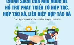 Chính sách hỗ trợ phát triển hợp tác xã