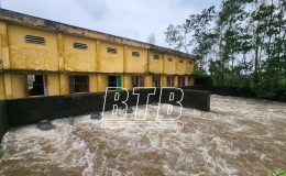 Khẩn trương tiêu thoát nước bảo vệ lúa, rau màu