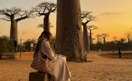 Lạc vào thế giới cổ tích trên đại lộ Baobab ở Madagascar