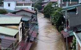 Lũ sông Thao, sông Cầu vượt mức đỉnh hơn 50 năm