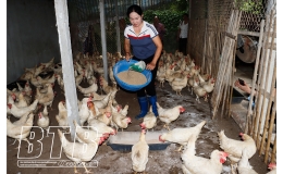 Phụ nữ xã Mê Linh: Thi đua làm kinh tế giỏi, giúp nhau thoát nghèo