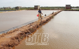 Tập trung chăm sóc thủy sản sau bão