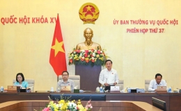 Thành lập thành phố Đông Triều thuộc tỉnh Quảng Ninh