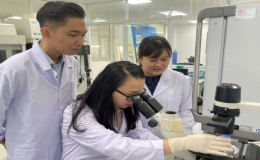 Tiến sĩ Việt nuôi cấy thành công tế bào gốc từ nang tóc