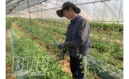 Tiếp tục tạo điều kiện để người lao động đi làm việc thời vụ tại Hàn Quốc
