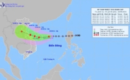 Tin áp thấp nhiệt đới trên biển Đông