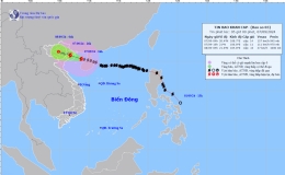 Tin bão khẩn cấp (Cơn bão số 3)