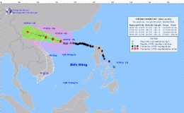 Tin bão khẩn cấp (Cơn bão số 3)