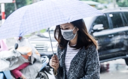 Tin gi&oacute; m&ugrave;a Đ&ocirc;ng Bắc tại Th&aacute;i B&igrave;nh