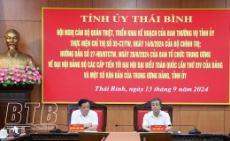 Triển khai kế hoạch của Ban Thường vụ Tỉnh ủy về đại hội đảng bộ các cấp tiến tới Đại hội đại biểu toàn quốc lần thứ XIV của Đảng