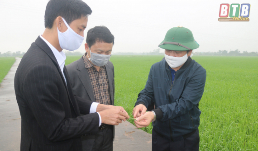 Tập trung phòng, chống dịch Covid - 19 song phải bảo đảm sản xuất nông nghiệp