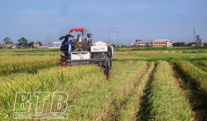 Dấu ấn ngành nông nghiệp Thái Bình 