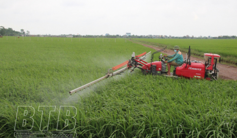 Hỗ trợ cải tạo, nâng cao chất lượng đất chuyên trồng lúa nước tại hai xã An Tân, Hồng Dũng