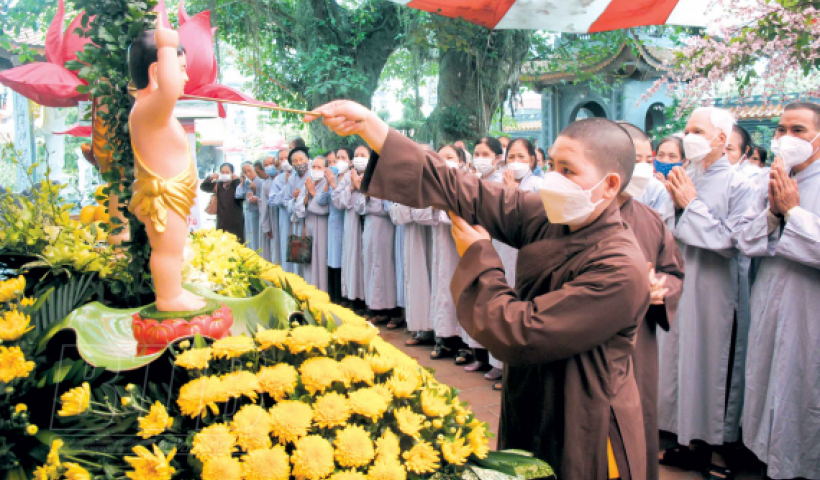 Thái Bình: Hân hoan mừng Phật đản 
