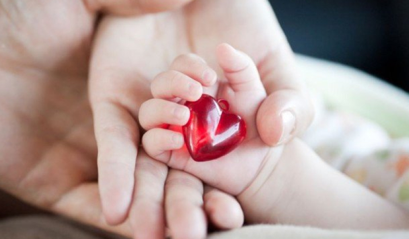 Thái Bình: Hỗ trợ khám sàng lọc miễn phí bệnh tim bẩm sinh cho trẻ em dưới 18 tuổi