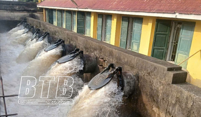 Thái Bình: Trên 30% tổng diện tích gieo cấy vụ xuân đã có nước