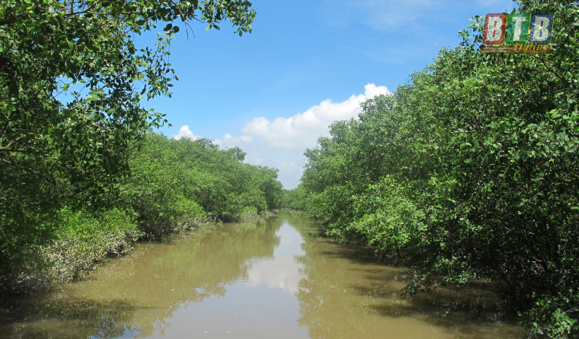 Thành lập Khu bảo tồn thiên nhiên Đất ngập nước Thái Thụy