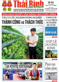 Số 607 Chủ nhật ng&agrave;y 18/8/2019