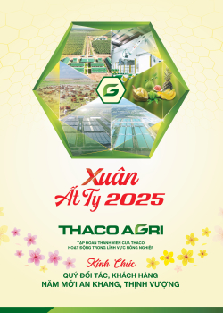 Báo tết Xuân Ất Tỵ 2025