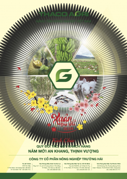 B&aacute;o Tết Xu&acirc;n Gi&aacute;p Th&igrave;n 2024