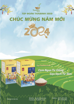 B&aacute;o Tết Xu&acirc;n Gi&aacute;p Th&igrave;n 2024