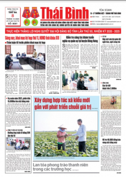 Số 8081 - Thứ 3 ng&agrave;y 8/12/2020