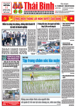 Số 8161 - Số ra ngày 11 tháng 03 năm 2020