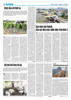 Số: 8891 - Thứ 3 ng&agrave;y 11/7/2023