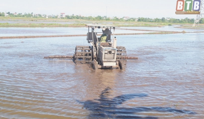 Xã Vũ Lăng (Tiền Hải)  huy động máy móc tập trung làm đất gieo cấy lúa mùa.