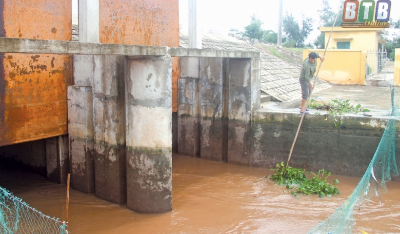 Công nhân Xí nghiệp Khai thác công trình thủy lợi huyện Tiền Hải thường xuyên vớt vật cản tại các cửa cống để nước tiêu thoát tốt.