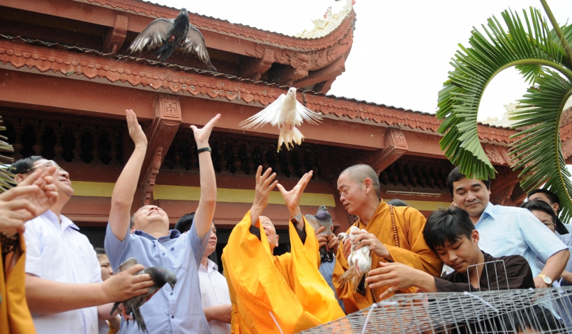 Các đồng chí lãnh đạo tỉnh cùng các vị chức sắc, tăng ni, Phật tử tham gia các nghi thức thả chim bồ câu để cầu cho quốc thái dân an, đất nước phồn vinh, thịnh vượng.