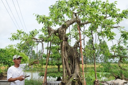 "Làm cho người cao tuổi sống vui, sống khỏe - sống có ích"