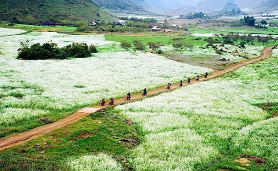 Du lịch Tây Bắc tháng 10 khám phá mùa thu trên rẻo cao