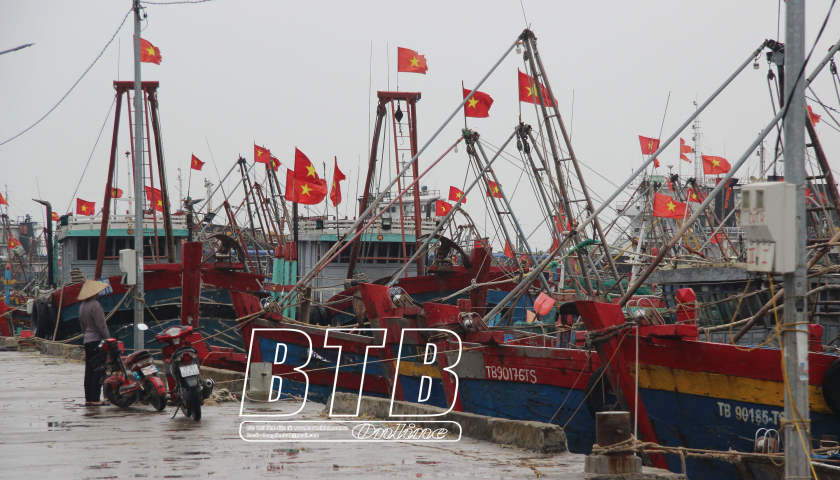 Tiền Hải: Kêu gọi tàu thuyền tránh trú bão số 5