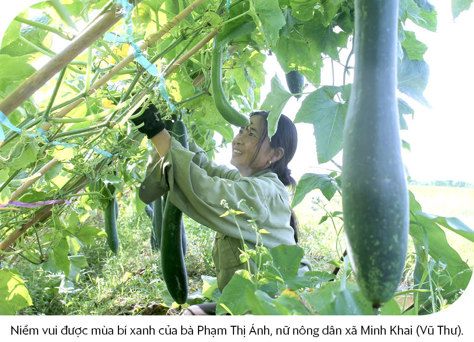 Mua nha truoc 30 tuoi o TP.HCM, Ha Noi, giac mo co xa voi? hinh anh 2 