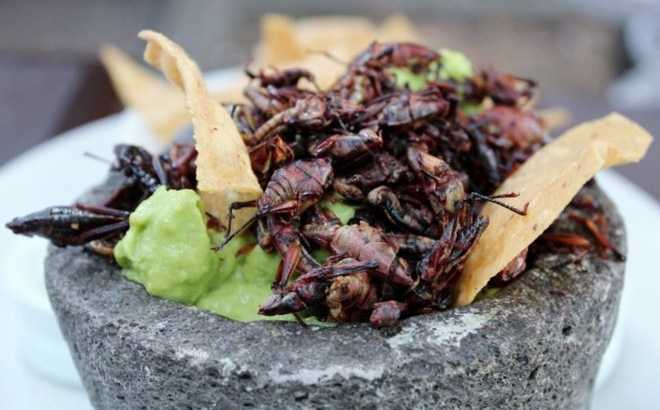 Người Mexico hào hứng với đặc sản "trời ban" chỉ có trong vài ngày mỗi năm nhưng ai nghe cũng dè chừng - Ảnh 4.