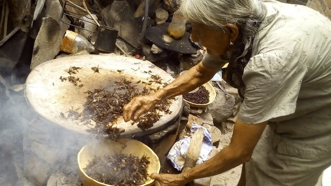 Người Mexico hào hứng với đặc sản "trời ban" chỉ có trong vài ngày mỗi năm nhưng ai nghe cũng dè chừng - Ảnh 3.