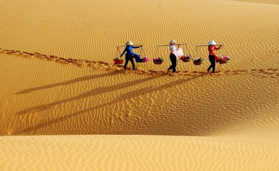 4 đồi cát đẹp nhất Việt Nam nhất định phải ghé một lần trong đời - Báo Thái  Bình điện tử