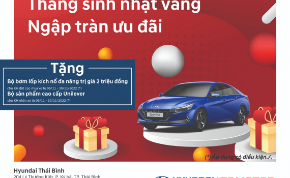 Ưu đãi tháng sinh nhật vàng tại Hyundai Thái Bình - Báo Thái Bình điện tử