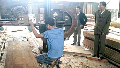 Ông Văn “gỗ”