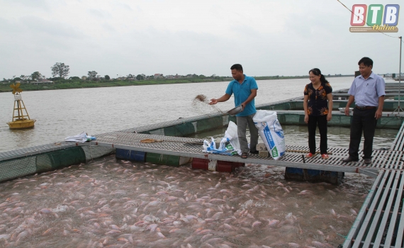 Đồng bào công giáo Quỳnh Phụ chung tay xây dựng quê hương